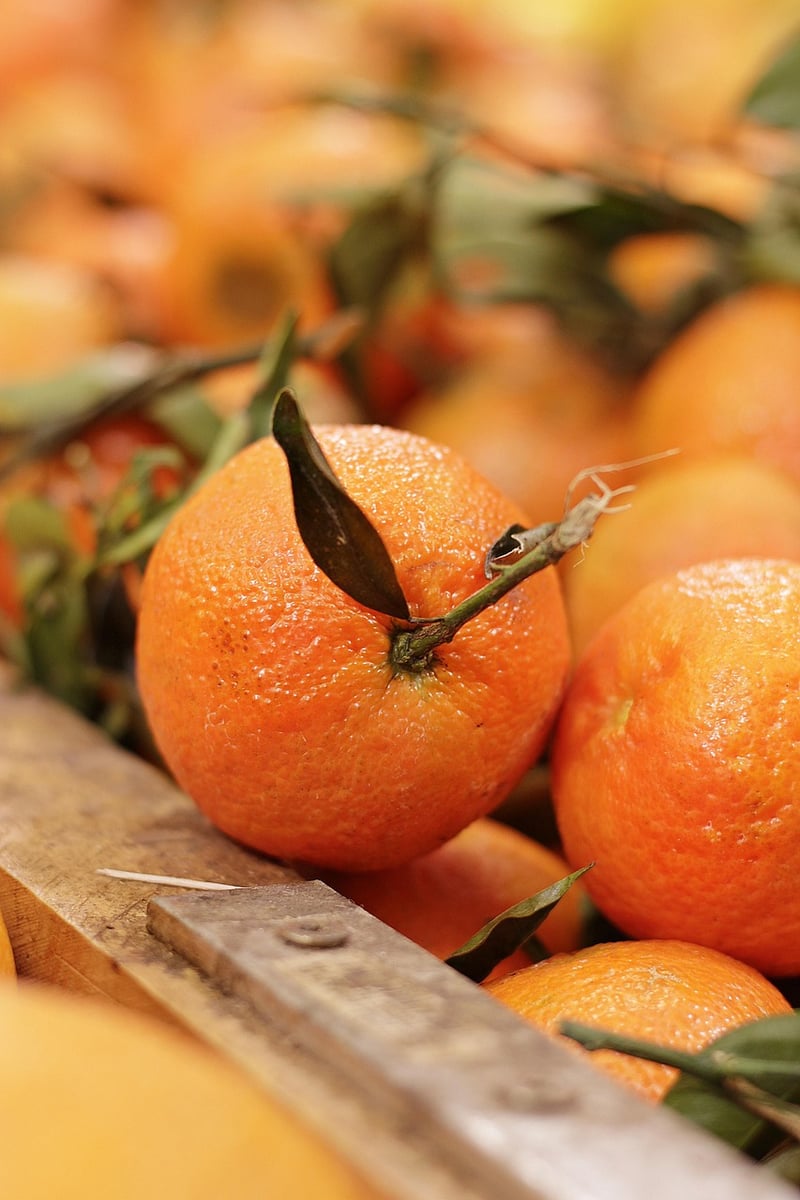 Spicy-Citrus Pairings
